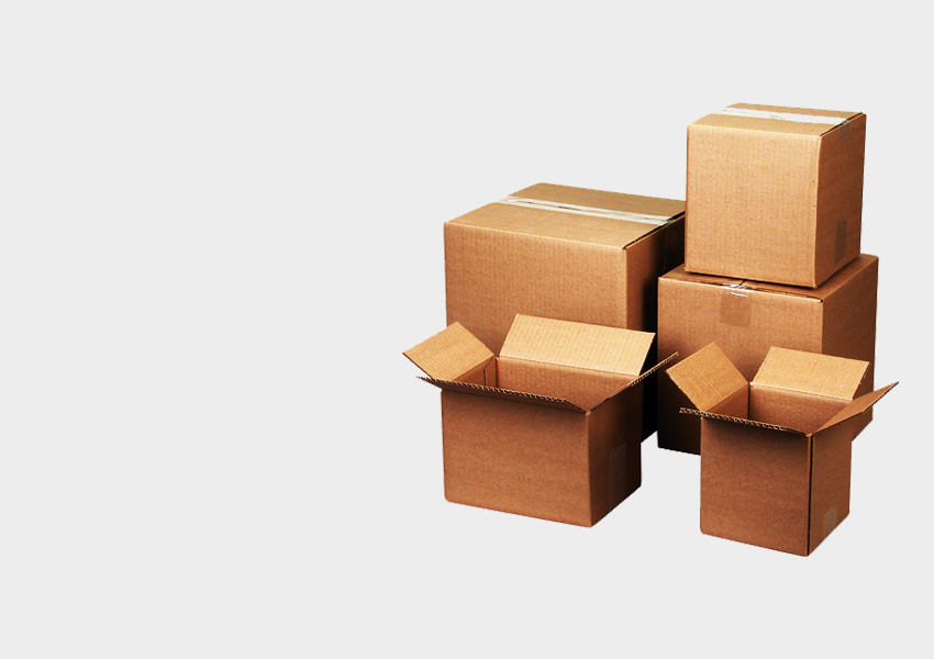 Corrugated Packaging Boxes Manufacturer from Vadodara Gujarat